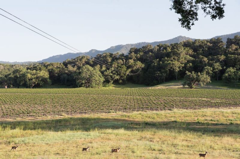 Santa Margarita: 6-Zipline Course Sunset Experience Ticket - Who Should Consider It?