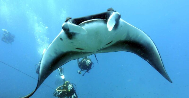 Santa Maria: Advance Open Water Diver - PADI or SSI Course - Key Points