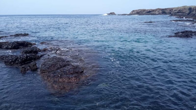 Santa Maria: Beach Fishing and Grilling Adventure - Key Points