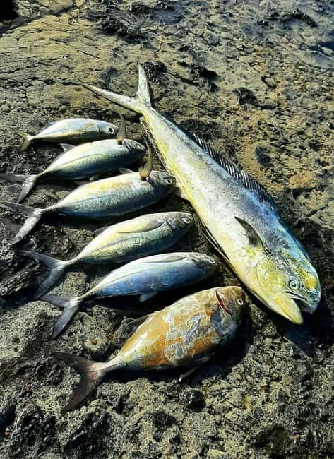 Santa Maria: Beach Fishing and Grilling Adventure - What to Expect on This Beach Fishing and Grilling Tour