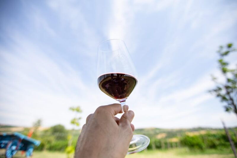 santa-maria-della-versa-grape-harvest-wine-tasting-tour