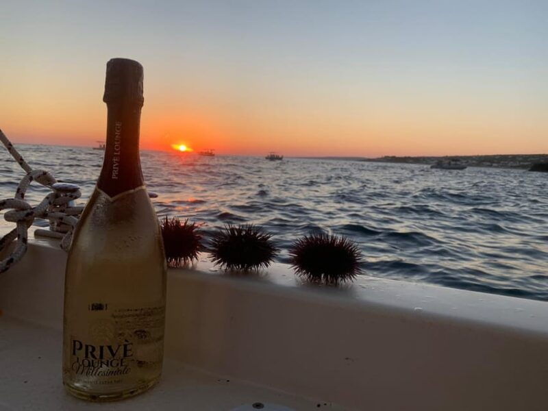 santa-maria-di-leuca-exclusive-tour-with-aperitif
