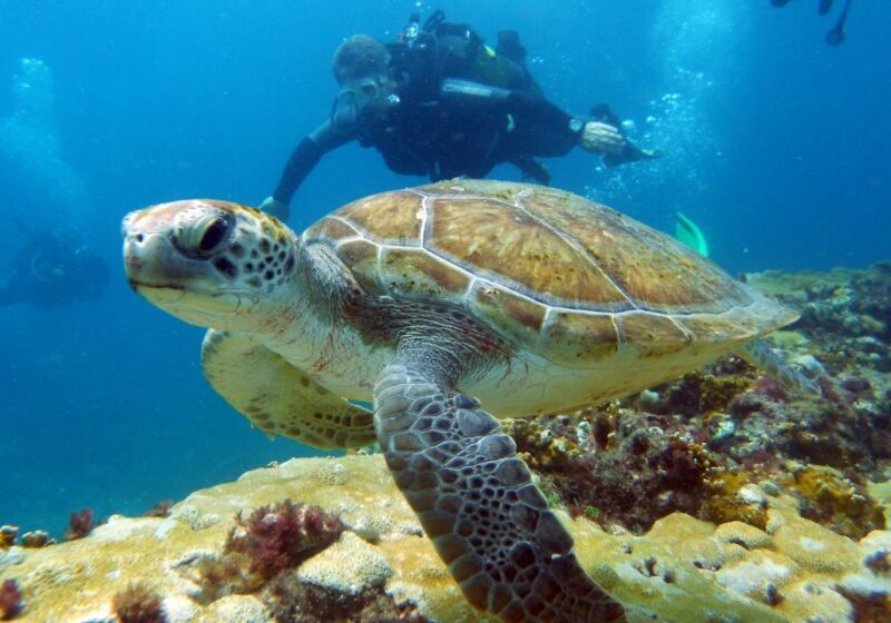 Santa Maria: Discover Scuba Diving - Key Points
