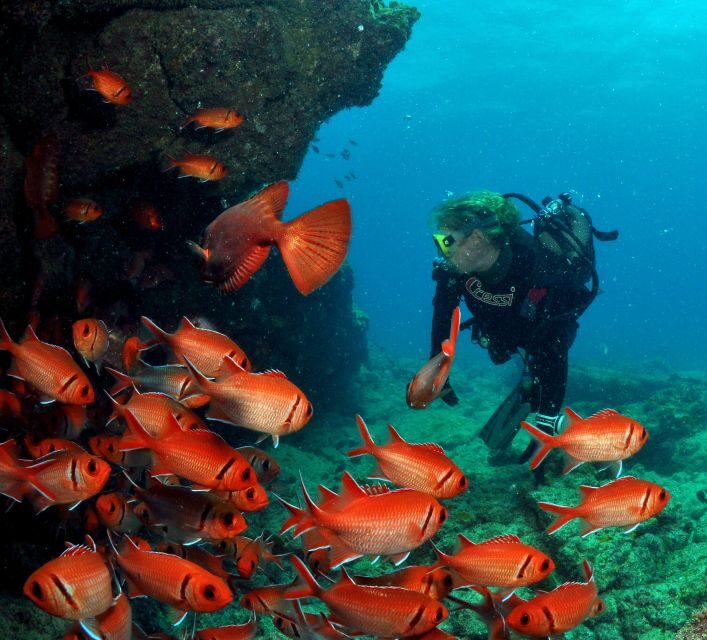 Santa Maria: Discover Scuba Diving - What is the Santa Maria Discover Scuba Diving Tour?