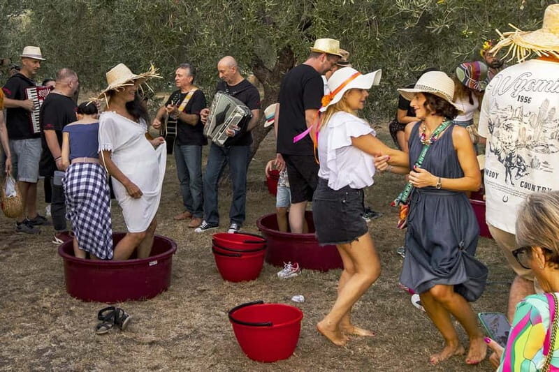 Santa Maria Imbaro: Grape Harvest with Pressing + Picnic among olive trees and vineyards - Key Points