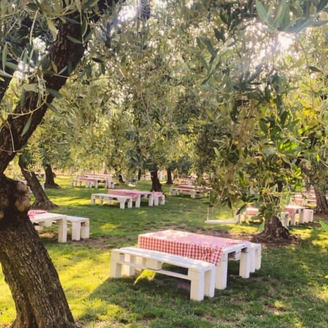 santa-maria-imbaro-the-vinarte-picnic-under-the-moonlight