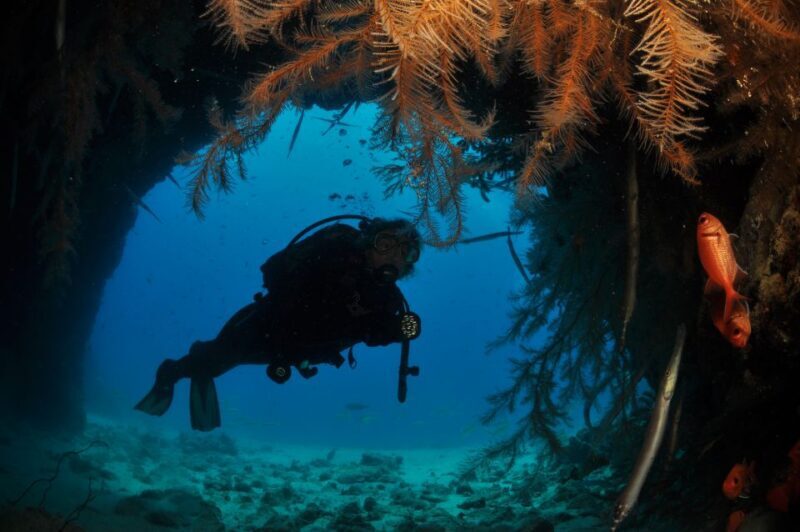 Santa Maria: Open Water Diver - PADI or SSI Course - Introduction