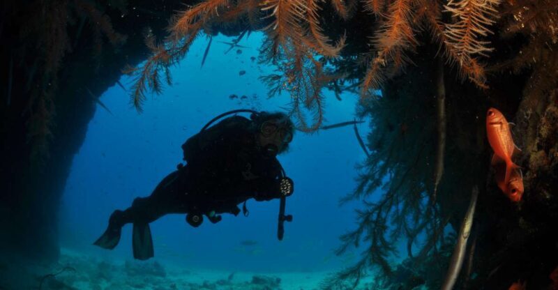 Santa Maria: Open Water Diver - PADI or SSI Course - Authentic Experiences and Insights