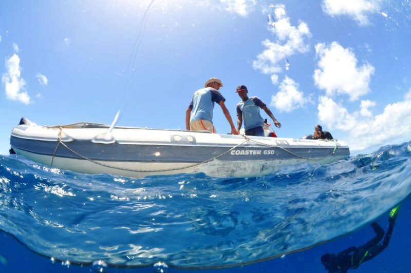 Santa Maria: Review Diving Course with 2 Guided Dives - The Experience: What to Expect