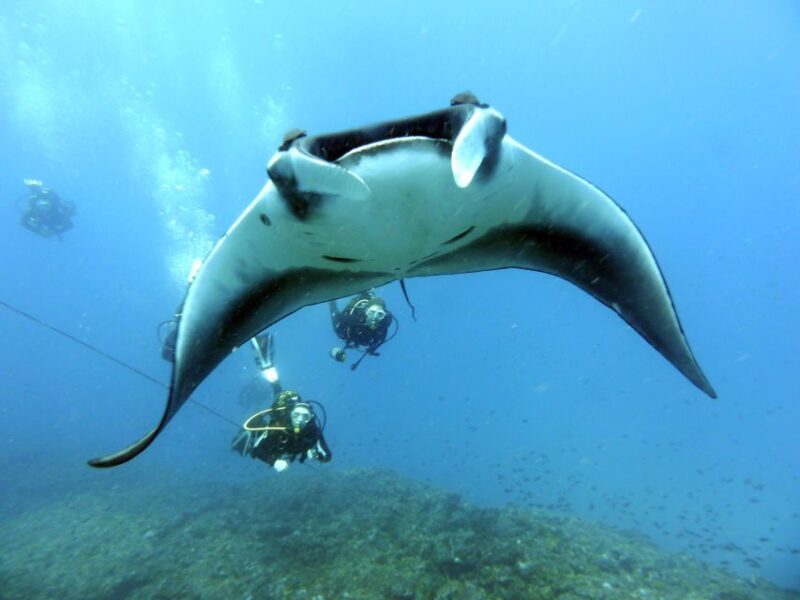 Santa Maria: Scuba Diving Package with 3 Dives - Introducing the Santa Maria Scuba Diving Experience