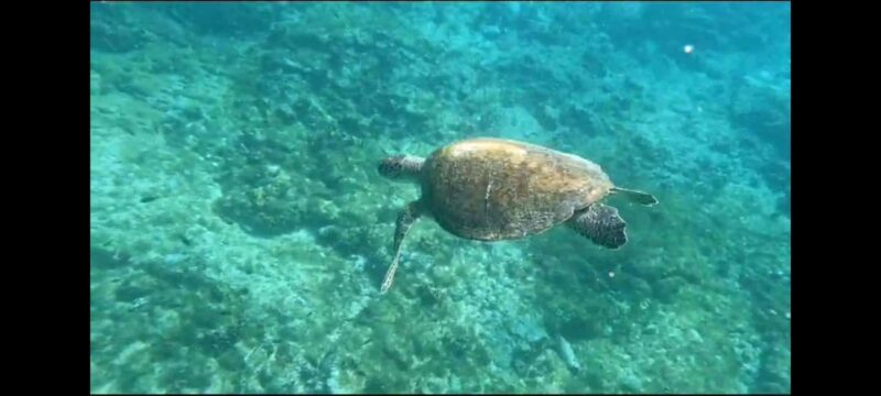 Santa Maria: Snorkeling Boat Tour - Introduction: What to Expect from Santa Marias Snorkeling Boat Tour