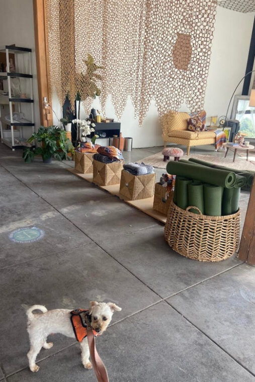 santa-monica-dog-friendly-private-ceramics-class