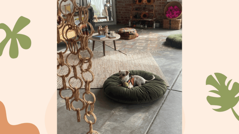 santa-monica-dog-friendly-private-ceramics-class