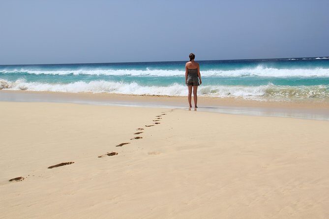 Santa Monica NO Stress Tour - Why This Tour Works Well for Different Travelers