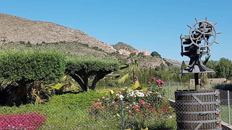 Santa Pola, Gran Alacan, Urbanova: Guided Wine Tasting Tour - Final Thoughts
