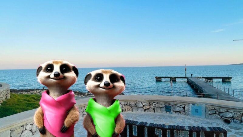 santa-ponca-the-magical-creatures-of-santaponcafamily-game