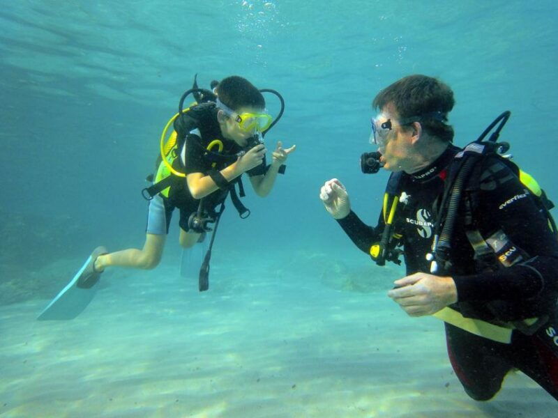 santa-ponsa-try-scuba-diving-in-a-marine-reserve