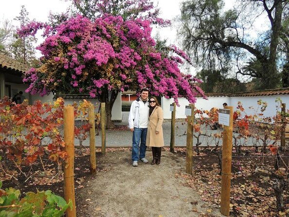 santa-rita-vineyard-tour-with-lunch-an-unforgettable-experience