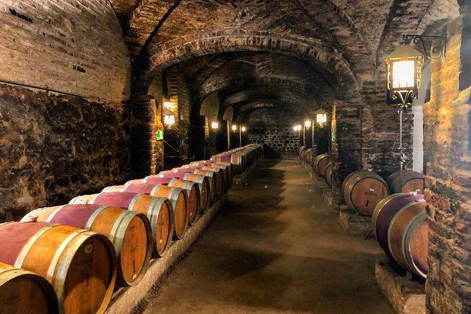 santa-rita-winery-selection-tour