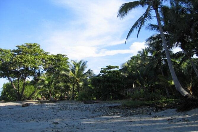 santa-teresa-beach-to-from-tamarindo-beach-private-transfer
