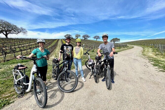 Santa Ynez Valley Biking and Wine Tasting Tour - Why Choose the Santa Ynez Valley Biking and Wine Tasting Tour?