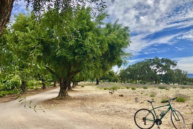 Santa Ynez Valley Biking and Wine Tasting Tour - The Experience of a Lifetime? Certainly Close