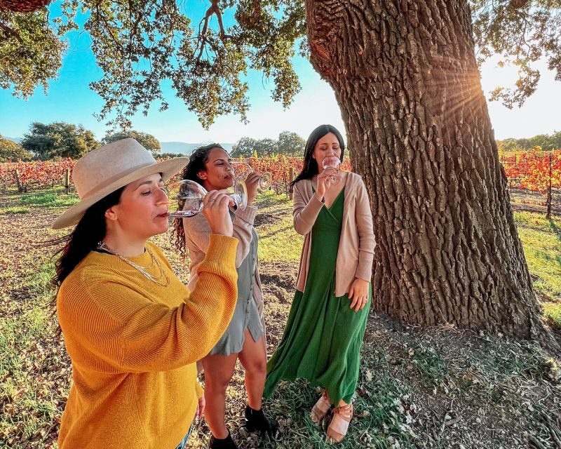 Santa Ynez: Wine Country Tour - An Overview of the Santa Ynez Wine Country Tour