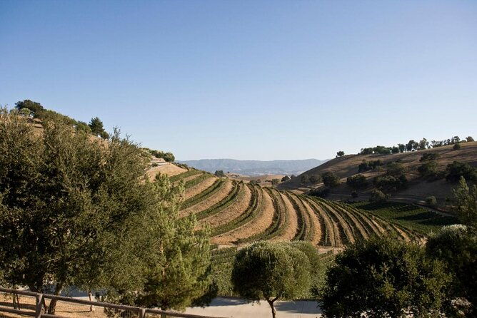 santa-ynez-wine-shuttle