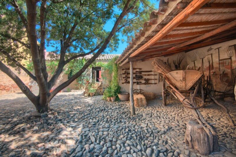 santadi-su-visit-to-the-archaeological-and-ethnographic-museum