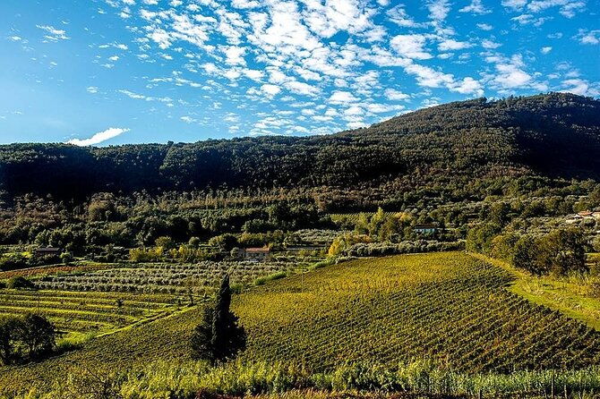 santagata-de-goti-wine-tasting-and-cooking-class-experience