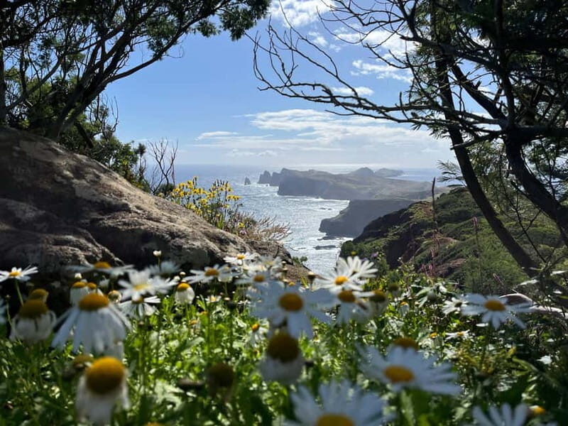 Santana: 4x4 Full-Day Tour to Northeast of Madeira Island - An In-Depth Look at the Northeast Madeira Full-Day Tour
