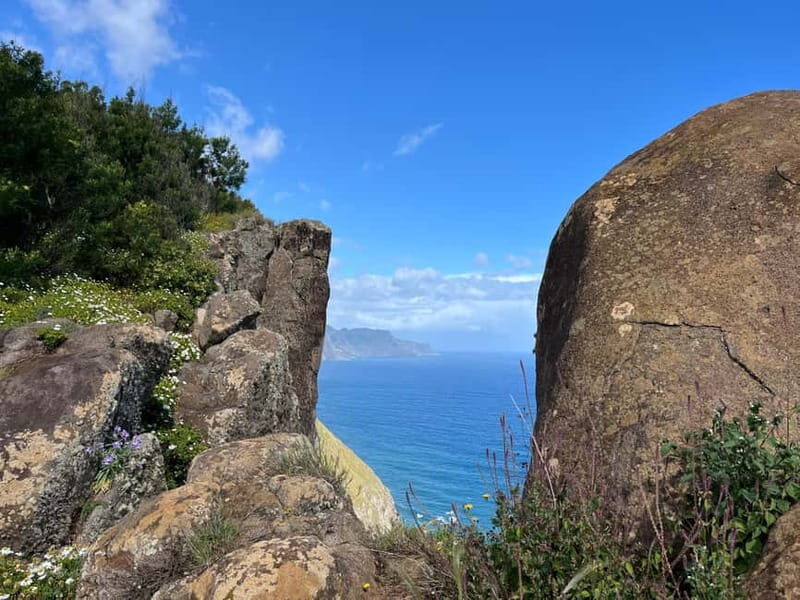 Santana: 4x4 Full-Day Tour to Northeast of Madeira Island - Authentic Experiences and Insider Tips