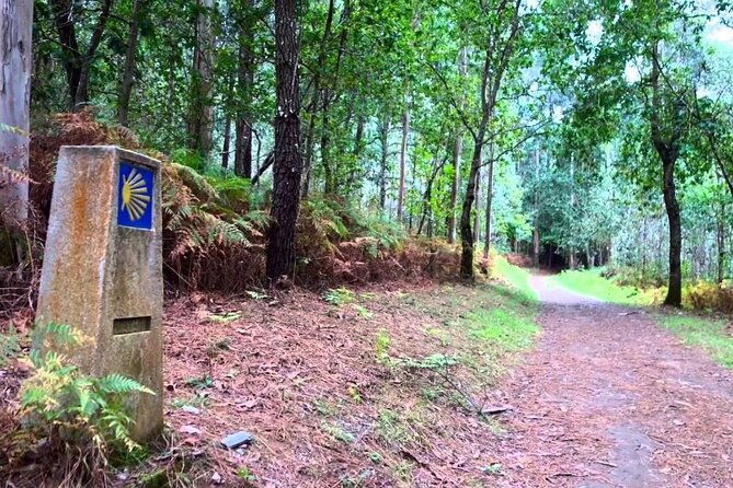 santiago-de-compostela-private-shore-tour-camino