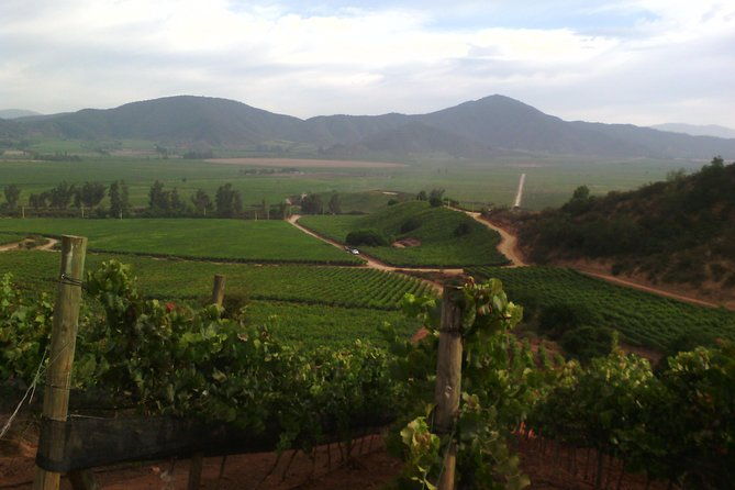 santiago-full-day-tour-to-casablanca-valley-include-entraces-for-2-vineyard