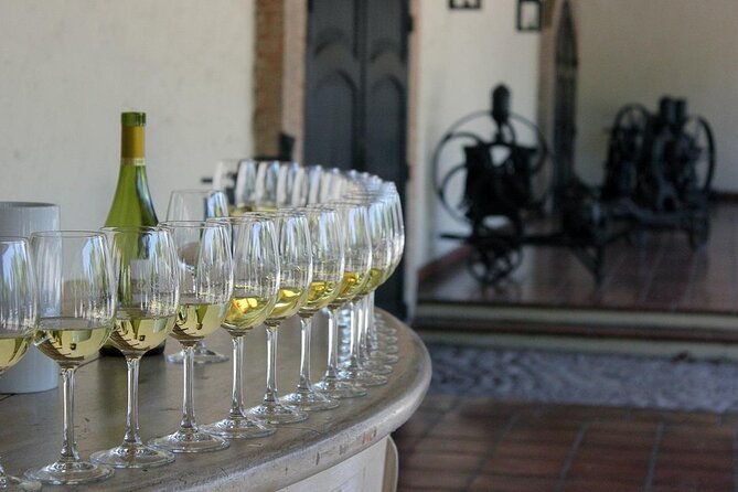 santiago-half-day-visit-to-concha-y-toro-vineyard-include-entrace-transport