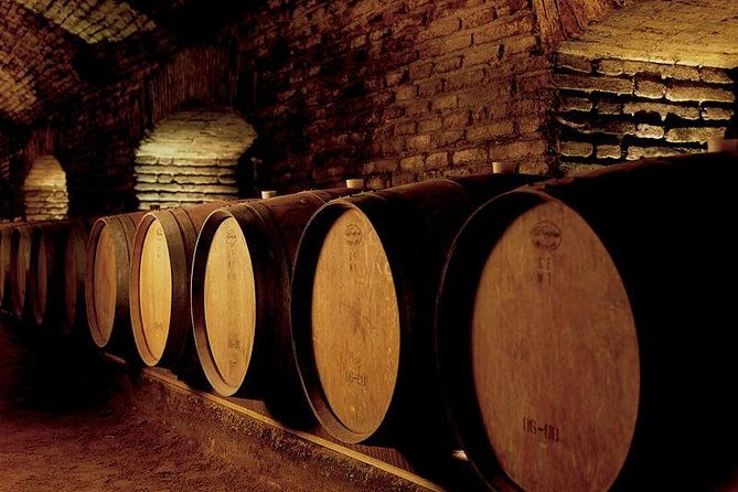 santiago-half-day-visit-to-concha-y-toro-vineyard-include-entrace-transport