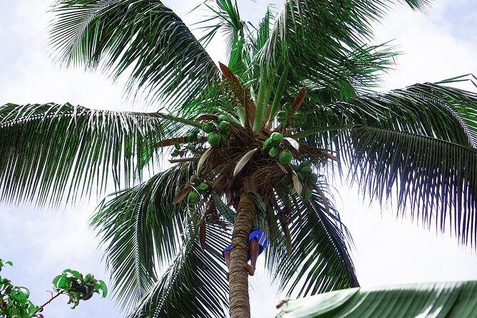 Santiago Island: Banana Plantation, Natural Park & Workshop with a local family - Why This Tour Works