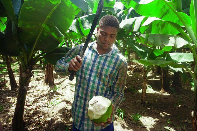 Santiago Island: Banana Plantation, Natural Park & Workshop with a local family - The Sum Up