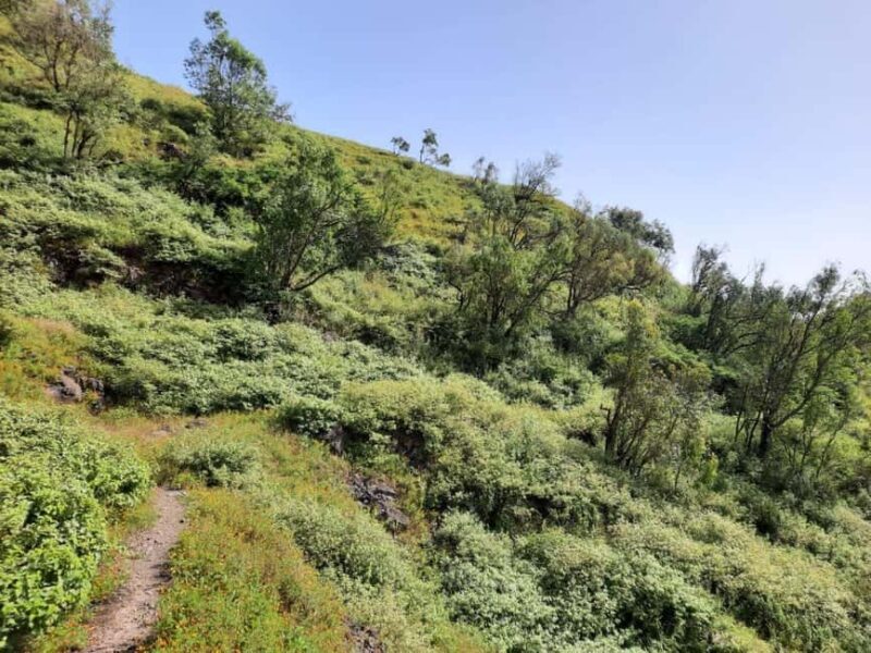 Santiago island: Pico de Antónia and Monte Tchota Trek - Final Thoughts