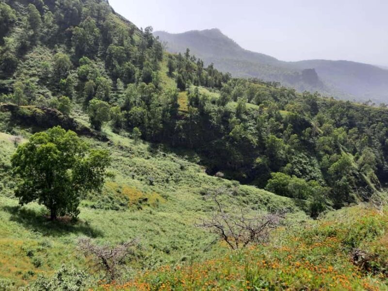 Santiago island: Pico de Antónia and Monte Tchota Trek - FAQ