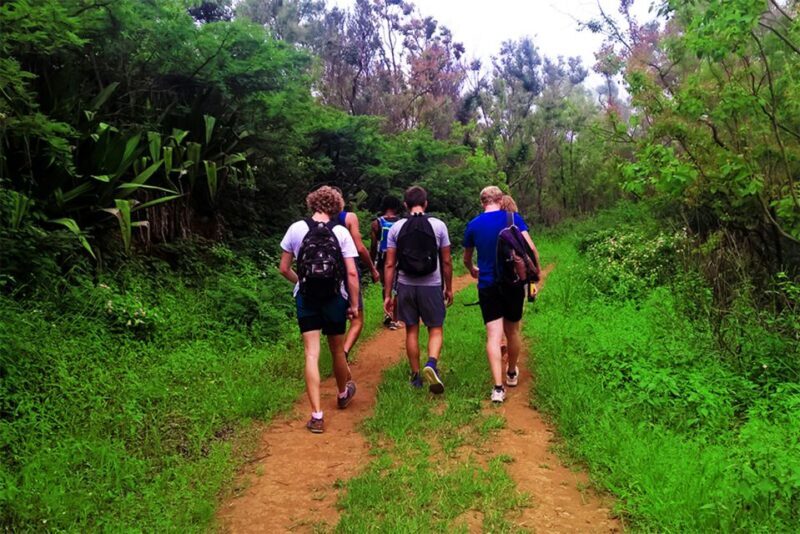Santiago Island: Serra Malagueta & Tarrafal Beach Trek Tour - Who Will Love This Tour?