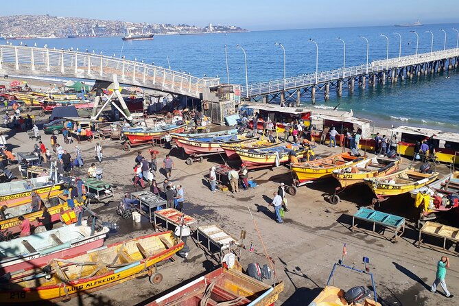 santiago-to-valparaiso-casablanca-port-drop-off