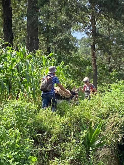 Santo Antão: 2-Day Guided Hiking Tour - An In-Depth Look at the 2-Day Santo Antão Hiking Tour