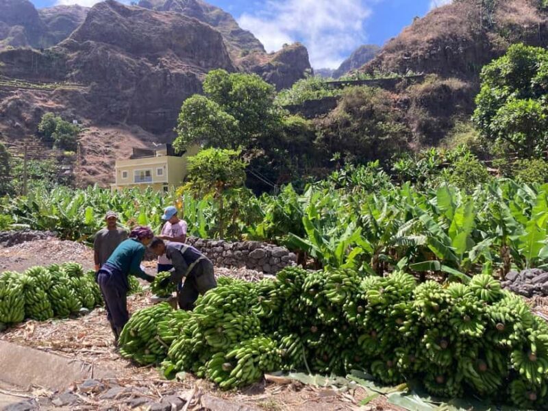 Santo Antão Highlights: Day Trip by Car with Ferry from SV - Key Points