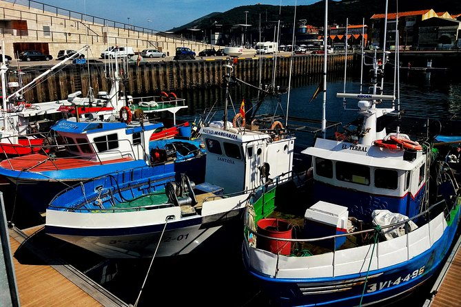 santona-anchovy-factory-boat-trip-with-tickets-small-groups