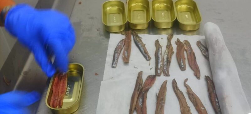 santona-canning-factory-and-the-marshes-tour-with-tasting