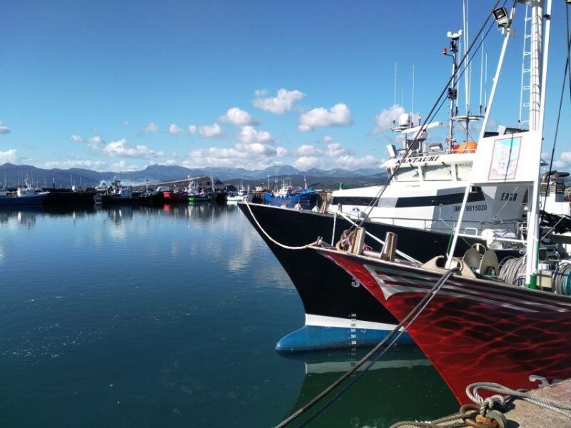 santona-urban-and-marine-visit