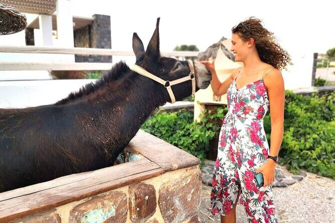 Santorini 4 hours Private Tour : Visit all the hotspots - A Closer Look at the 4-Hour Santorini Private Tour