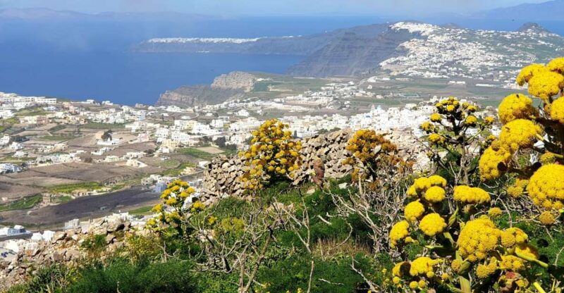santorini-4hr-private-accessible-panoramic-views-tour