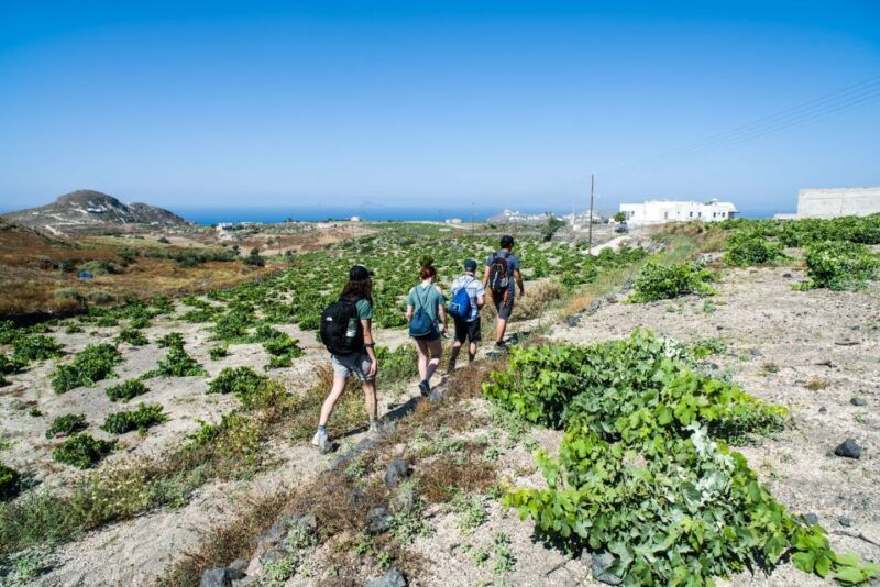 santorini-cooking-class-and-easy-hike